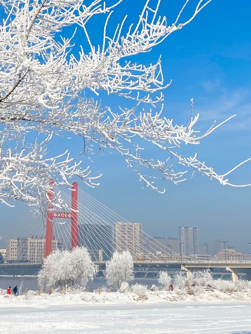 吉林之行，探索与感悟之旅