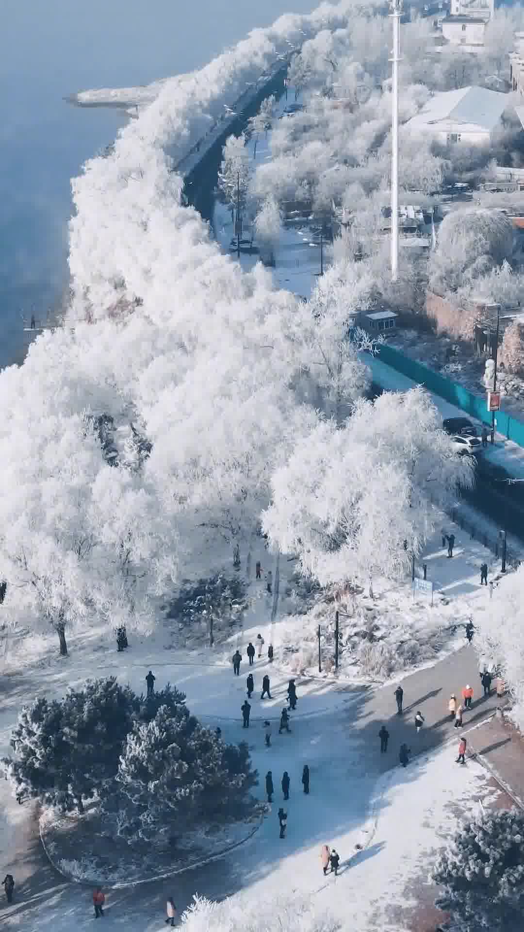吉林之行,探索与感悟之旅