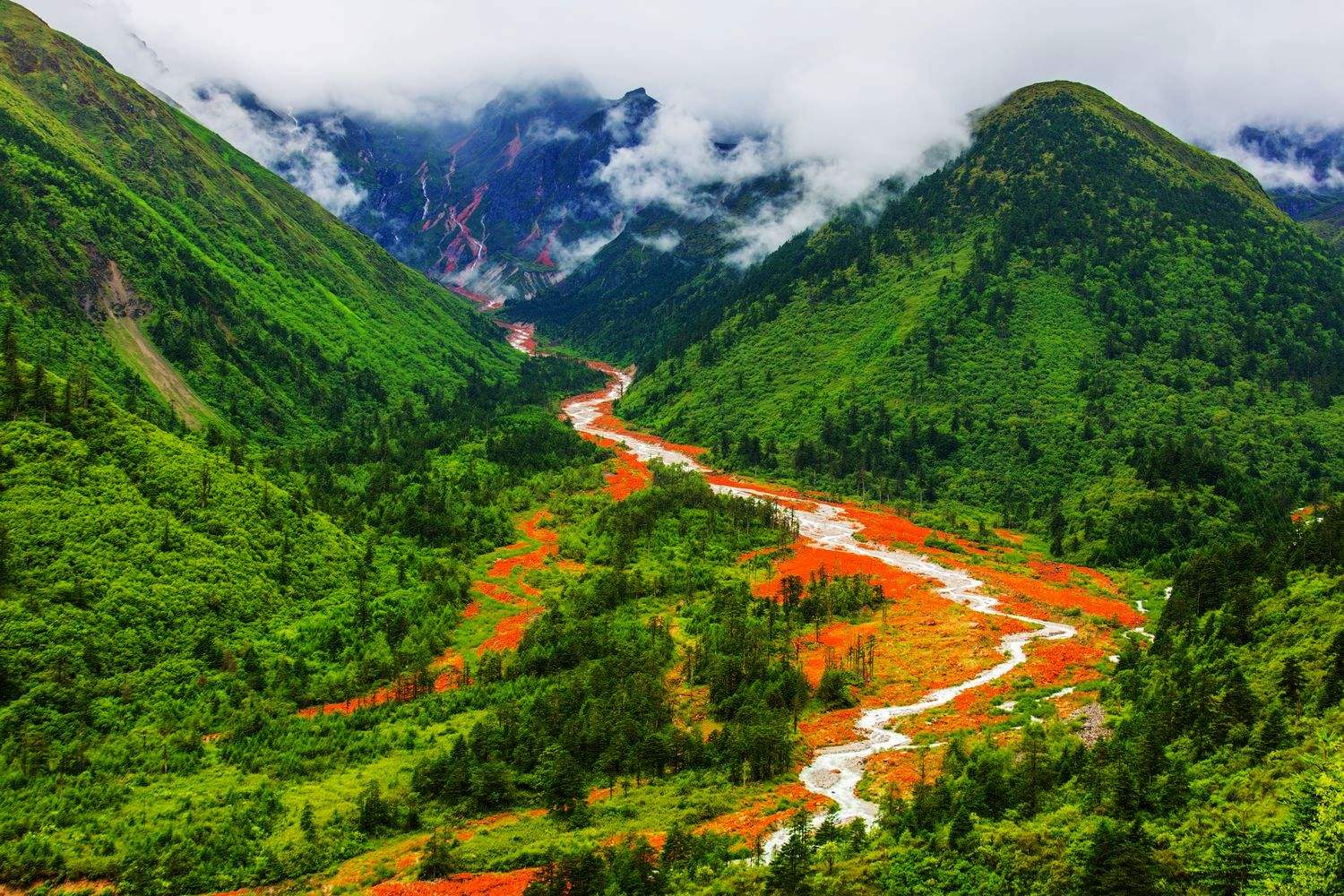 四川任务技能完成指南,初学者与进阶用户一步达成秘籍